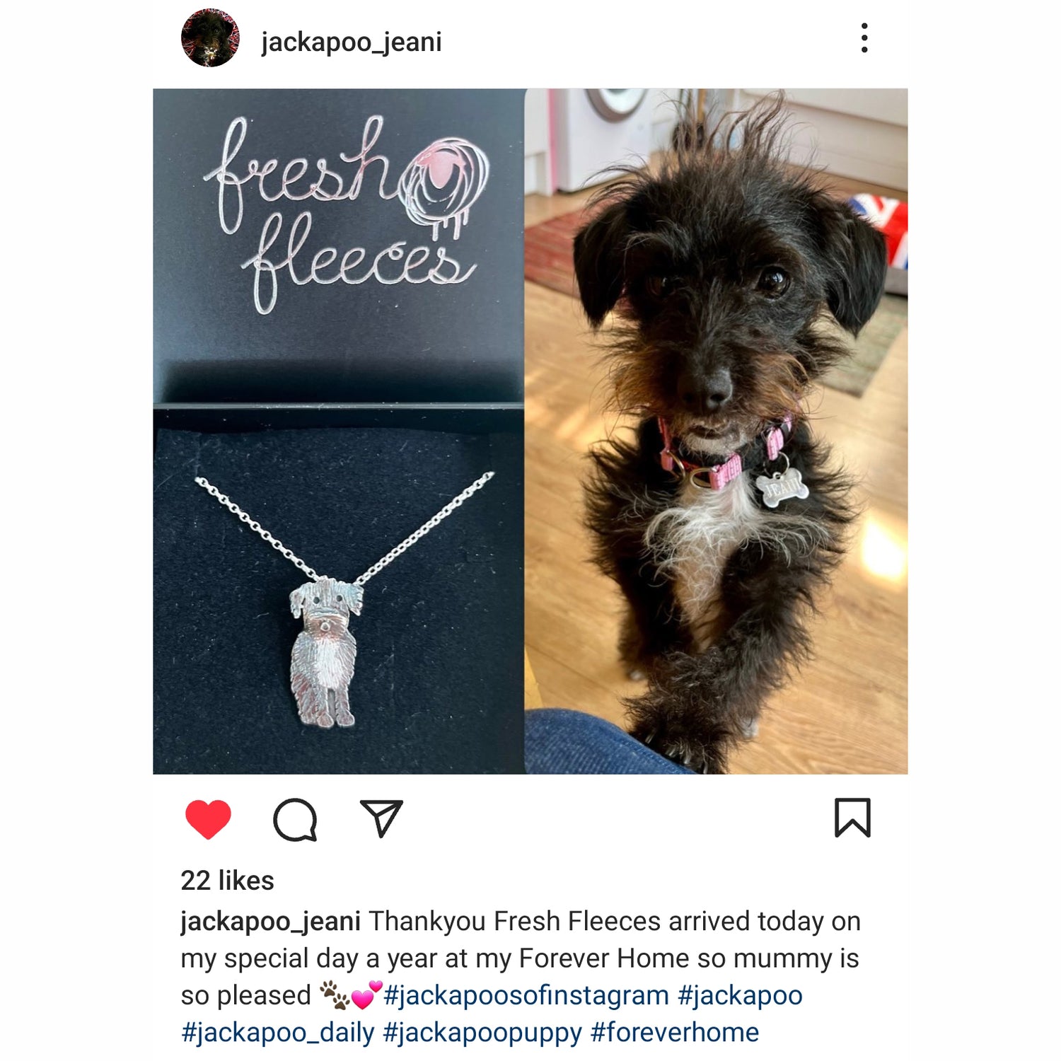 jackapoo necklace, jackapoo jewellery, custom dog gift, gift for dog owner, pet loss jewellery