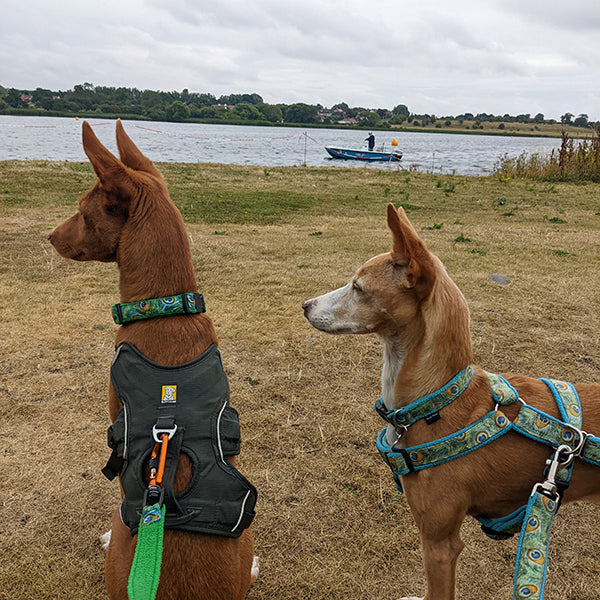 podenco dog jewellery, podenco necklace, custom dog jewellery